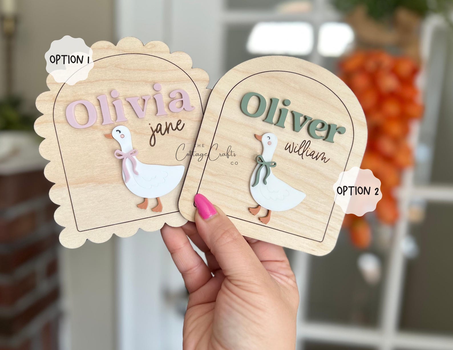 Goose Birth Announcement Name Sign