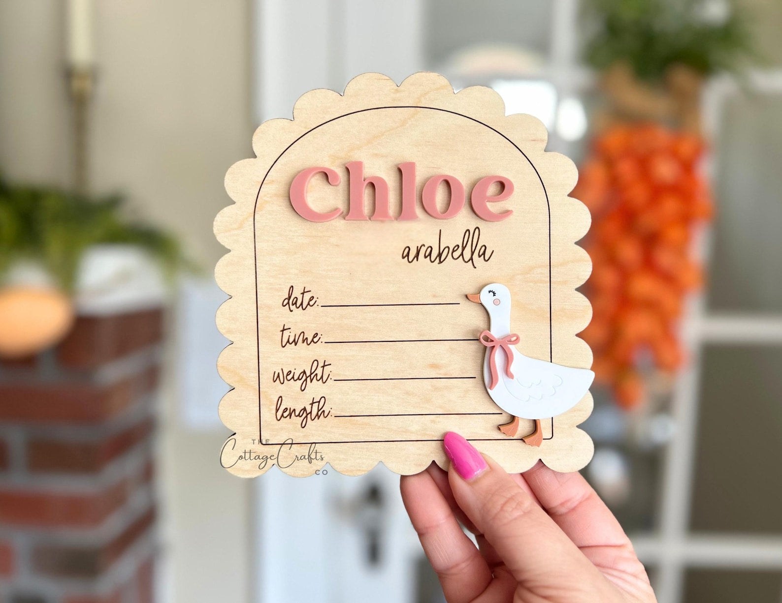 Goose Birth Announcement Name Sign