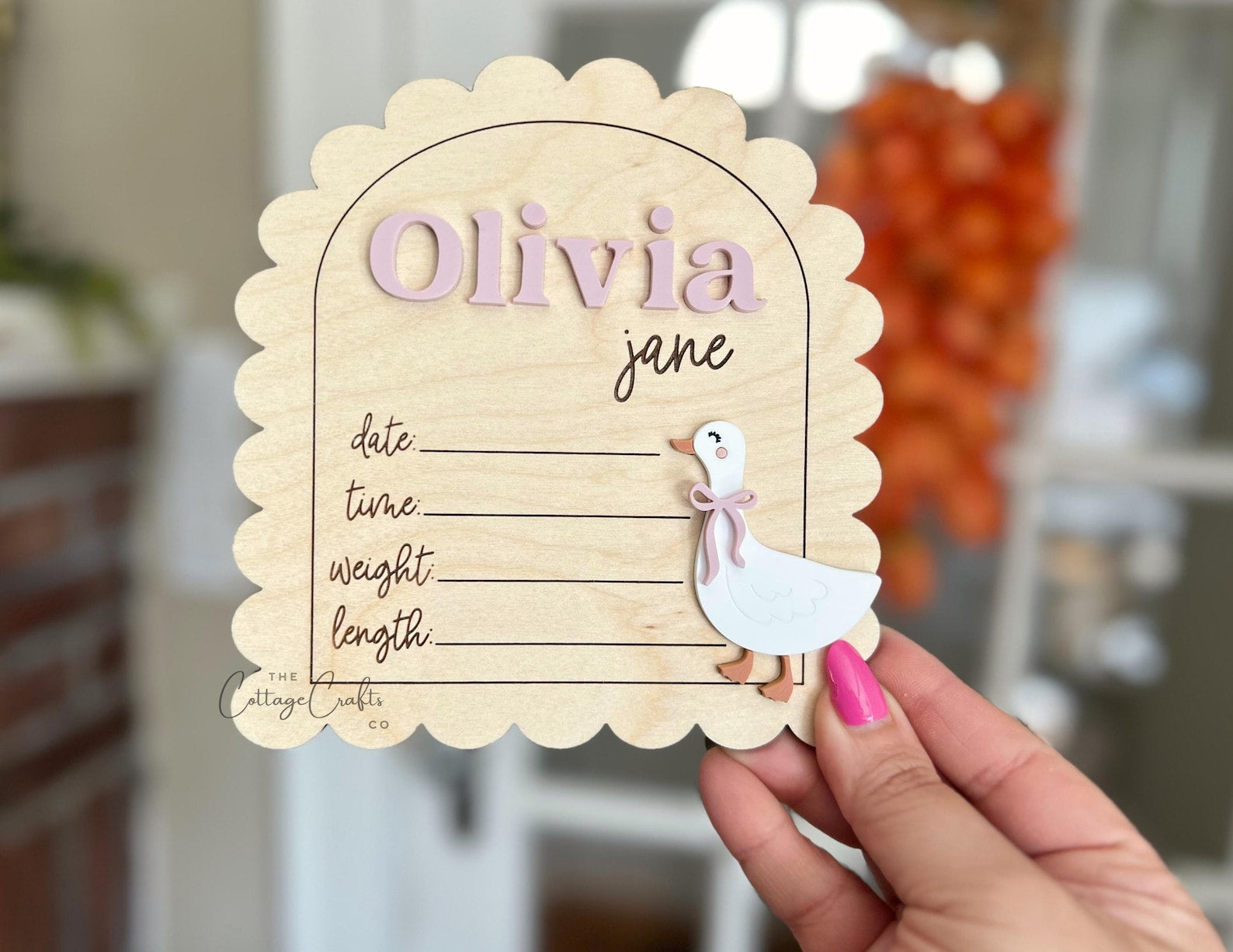 Goose Birth Announcement Name Sign